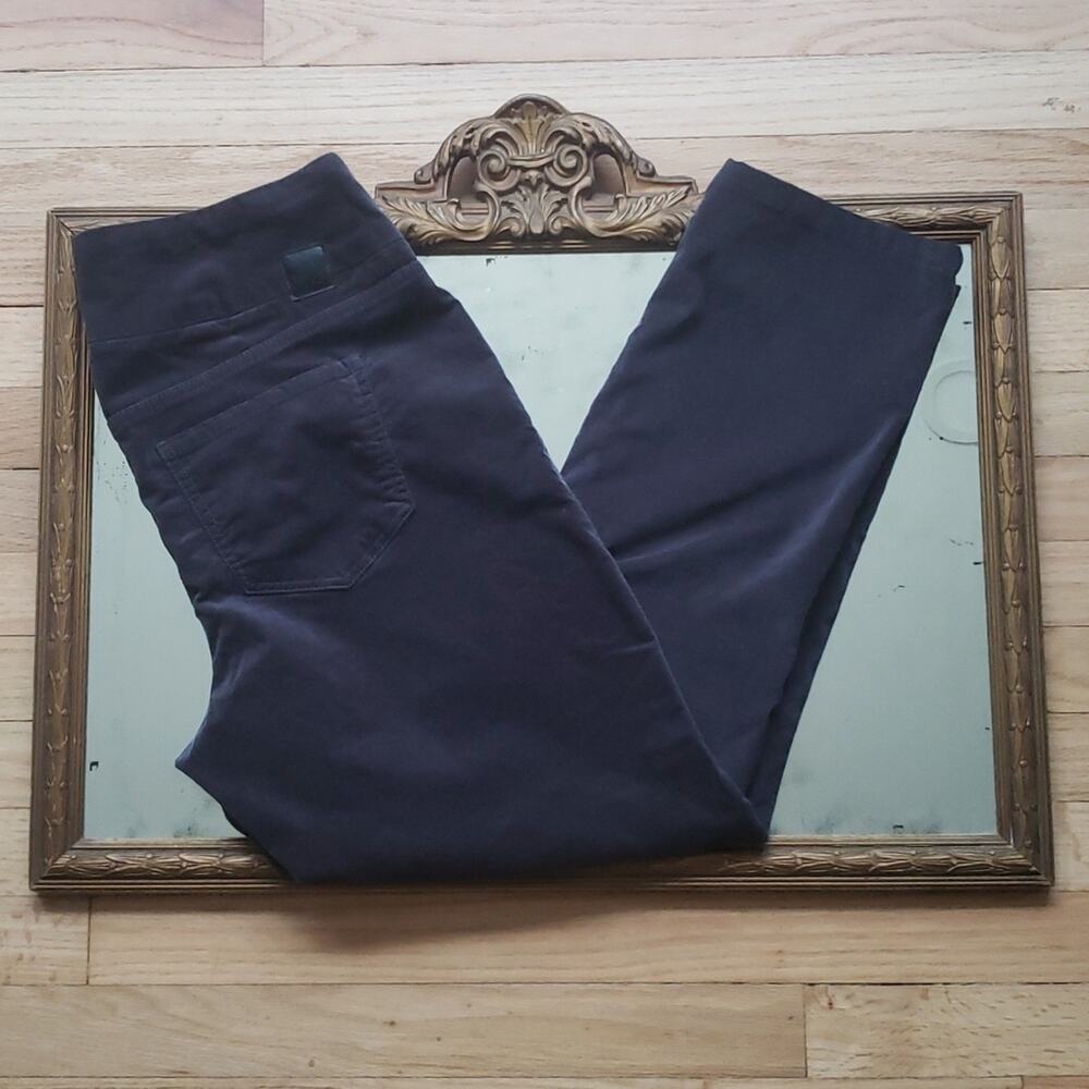 Jag Jeans Women's Velvet Highrise Skinny Pants Size 16 Dark Academia Whimsigoth